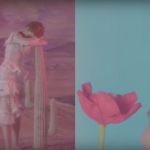 Petra Collins pays homage to Georgia O’Keeffe's work In a new short film