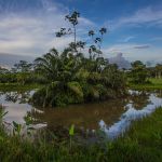 nss Travel Diary - Nicaragua Photography by Emanuele Di Cesare
