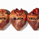 The unprecedented retrospective dedicated to Oliviero Toscani The fashion photographer who revolutionized its aesthetics now on show in Milan