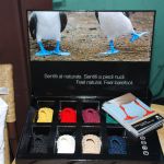 Estate: consigli per gli acquisti | Image 1718