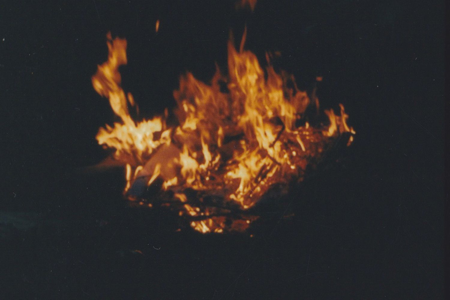 Mara Corsino, American Pops