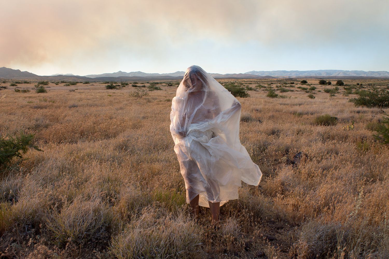 Obsolere, Laura Villa Baroncelli