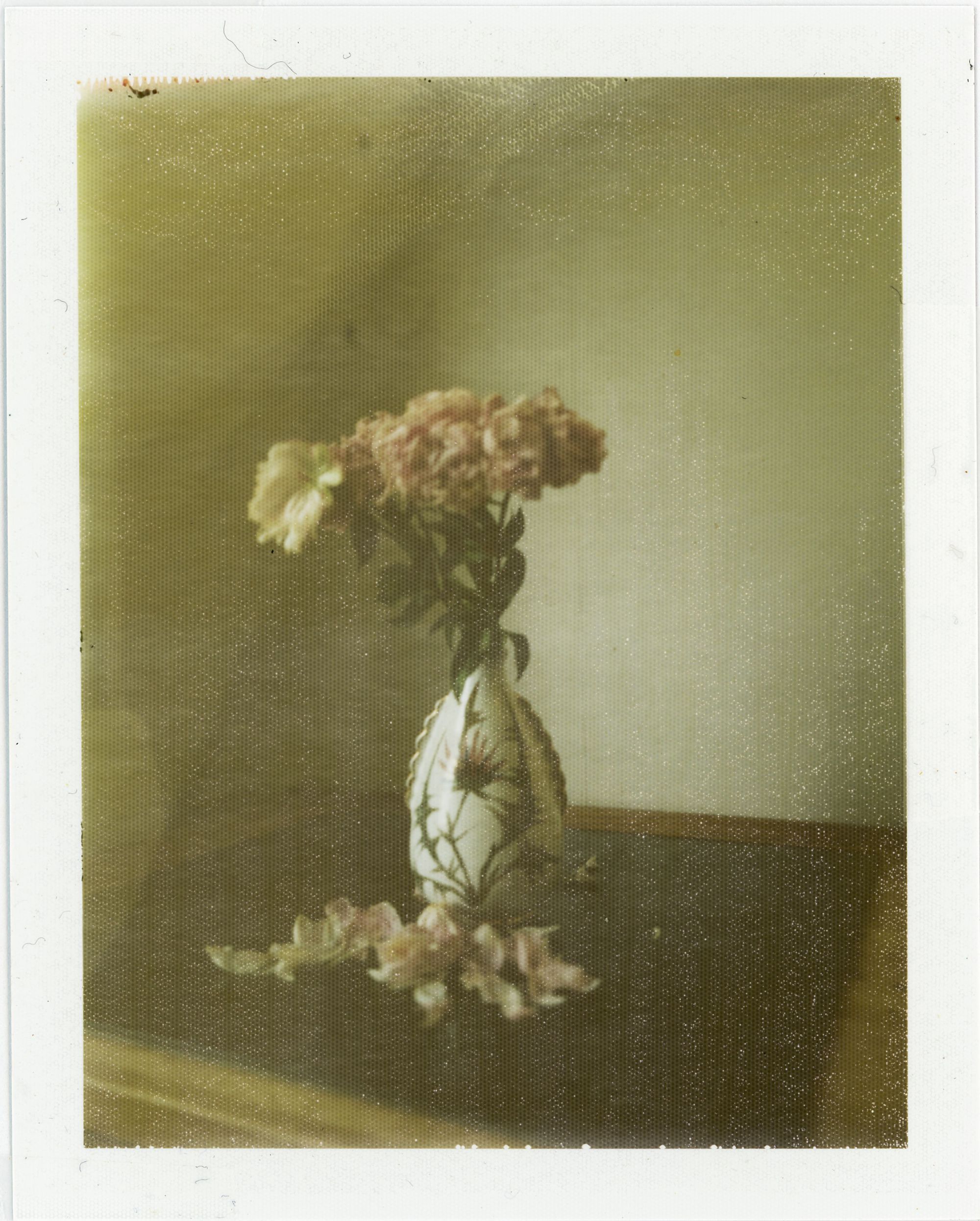 Unknown, Manuele Geromini