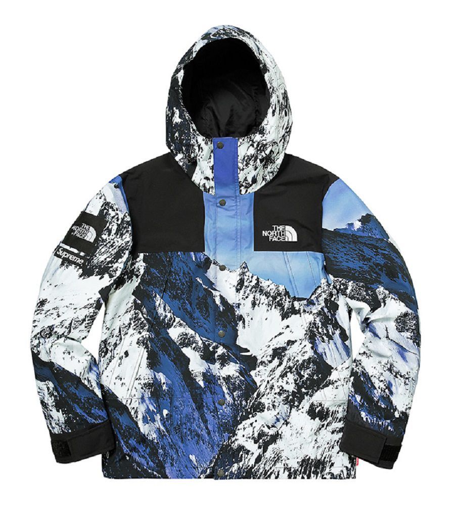 Supreme/TheNorthFace®MountainLightJacket Supreme The North Face Mountain Light Jacket Leaves Men's