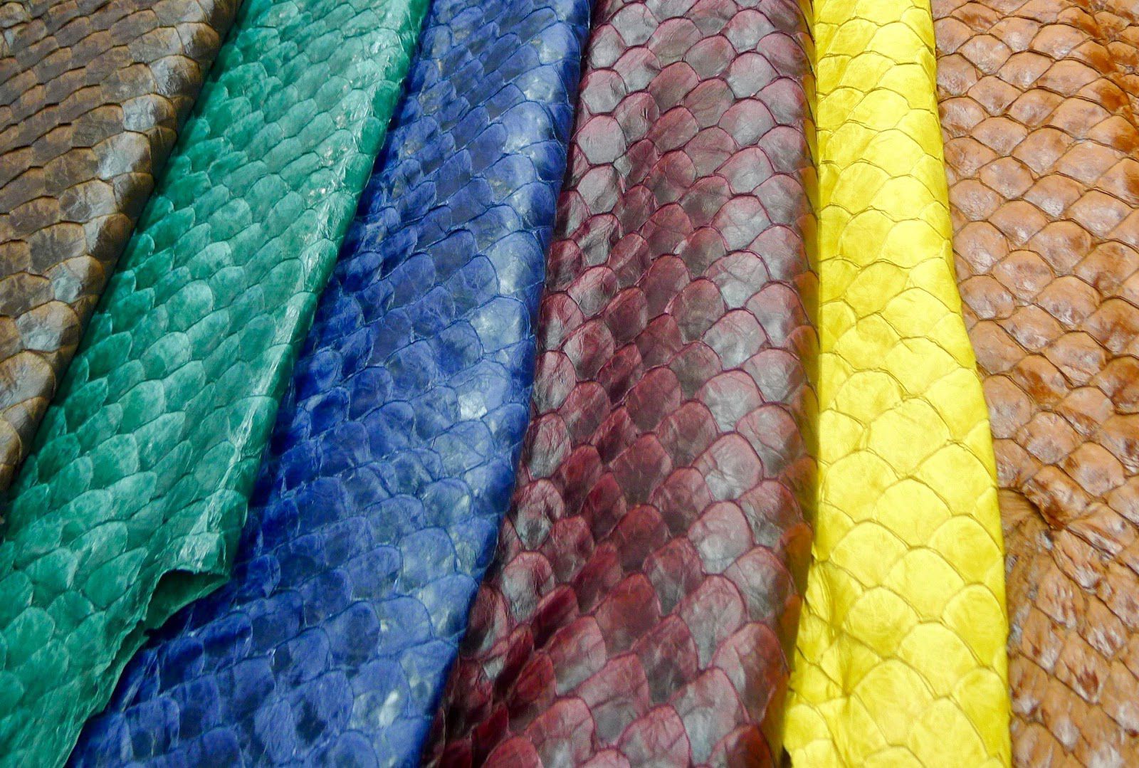 Snake skin — Collective Fashion Justice