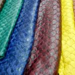 Does Fish Skin Have a Future in Fashion?, Innovation