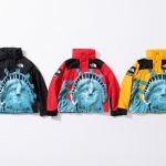 Supreme and north face collab clearance 2019