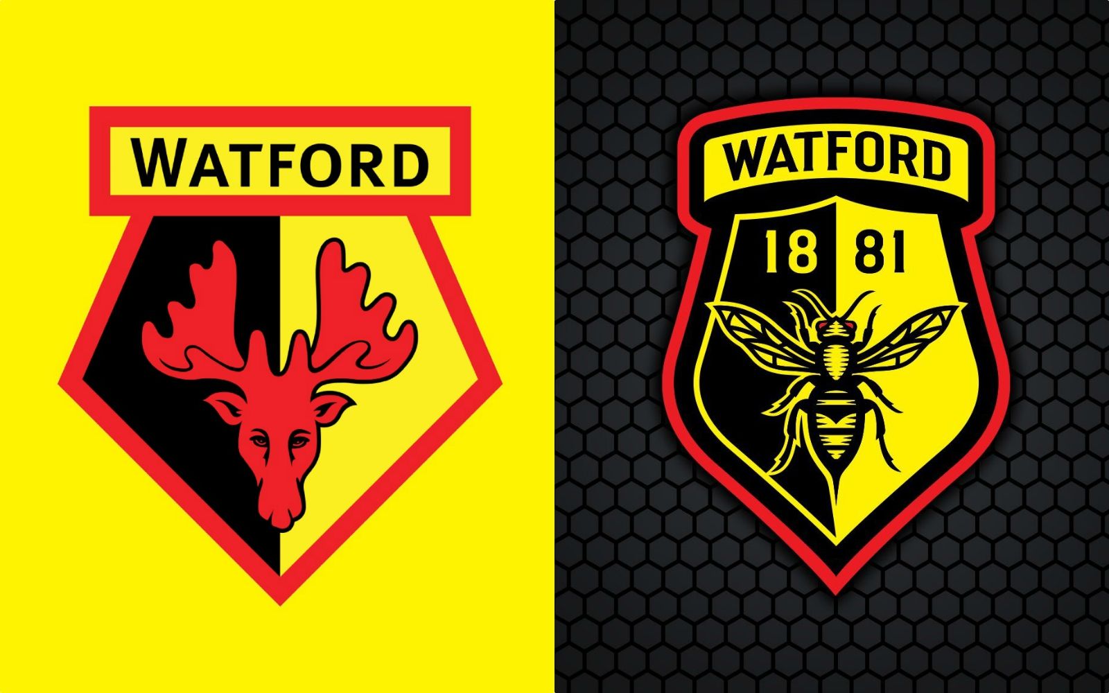 Уотфорд. Уотфорд футбольный клуб. ФК Уотфорд эмблема. Watford FC логотипа. Уотерфорд Юнайтед футбольный клуб эмблема.