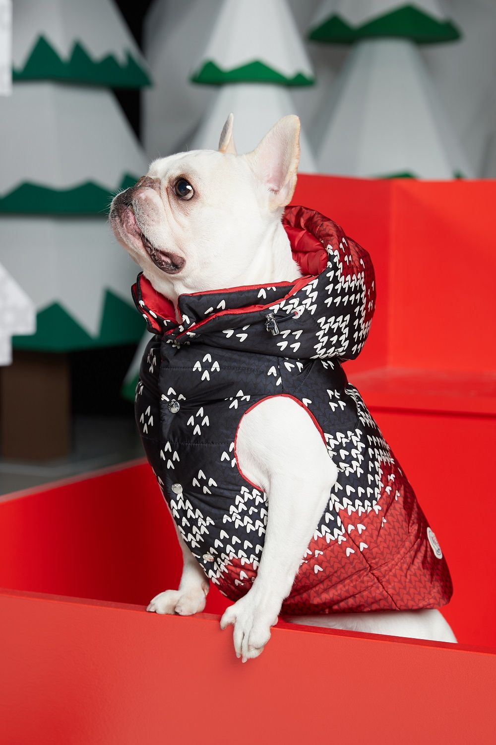 Moncler introduces the Poldo Dog Couture - nss magazine