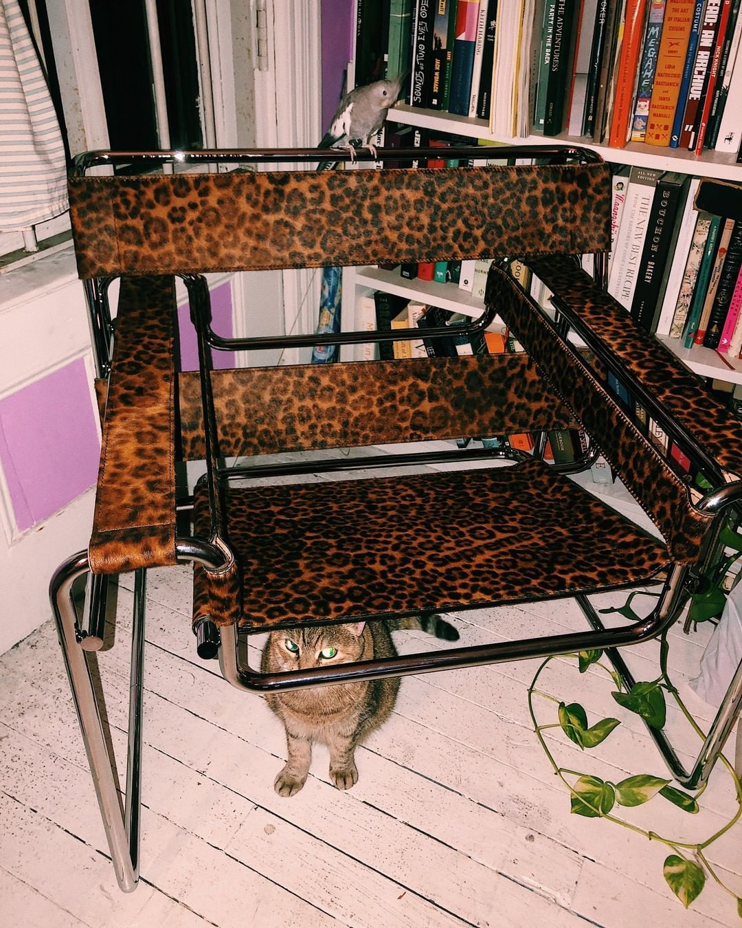 The story behind Supreme's Wassily Chair - nss magazine
