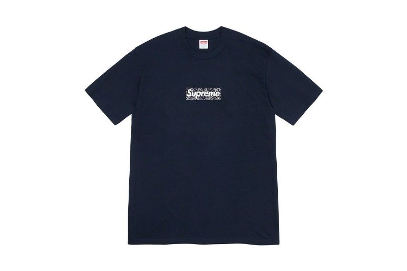 supreme-winter-drop-t-shirt_v2.jpg