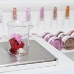 The ultimate guide to apply the red lipstick With all the steps to follow and little secrets to learn | Image 519882