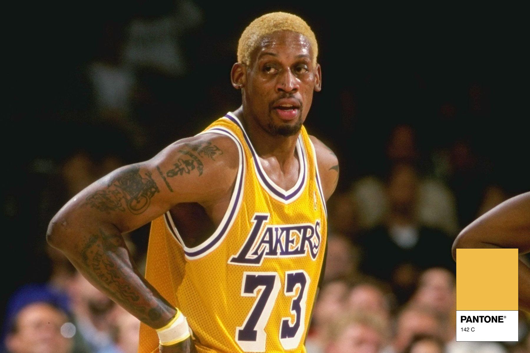The Pantone colors of Dennis Rodman hair - nss sports