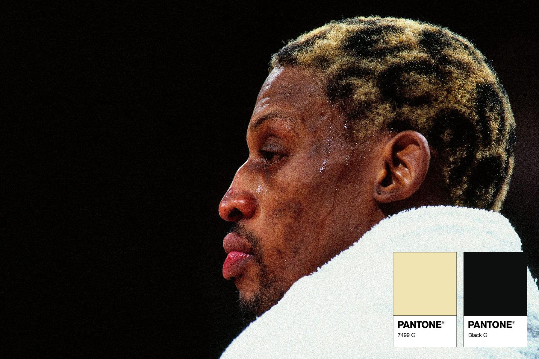 The Pantone colors of Dennis Rodman hair - nss sports