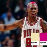 15 times Dennis Rodman demonstrated the joy of colouring your hair