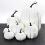 Pumpkin Set