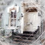 Spider’s web