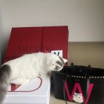 VALENTINO GARAVANI ROCKSTUD PET CUSTOMIZABLE N/S TOTE BAG