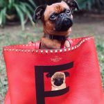 VALENTINO GARAVANI ROCKSTUD PET CUSTOMIZABLE TOTE BAG