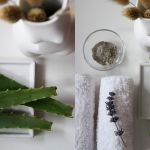 3 segreti di bellezza naturali da provare a casa Argilla, aloe vera e vapori home-made per una skincare DIY