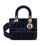 Japan Only] Lady D-Lite Dior Bag — WISHLIST