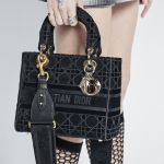 Japan Only] Lady D-Lite Dior Bag — WISHLIST