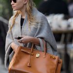 Birkin bag Hermès: timeless icon