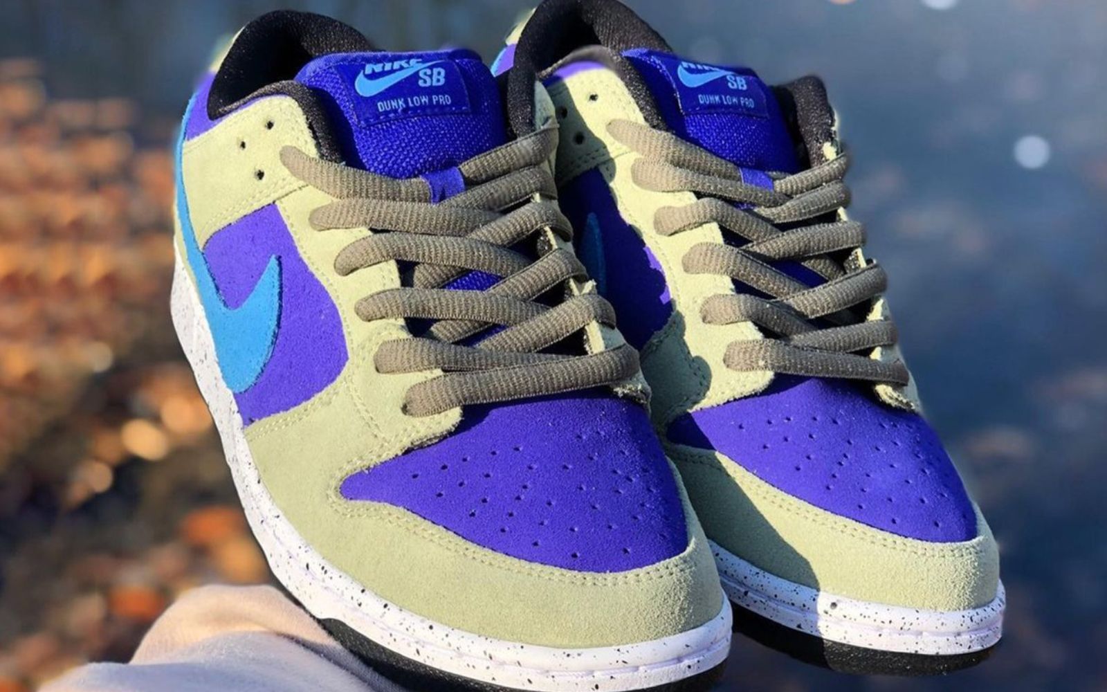 A first look at the Nike SB Dunk Low 