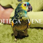 La campagna SS21 di Bottega Veneta Con protagoniste l’artista Rosemarie Trockel e la drammaturga Sheila Atim