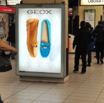 What to Geox, the of shoe that