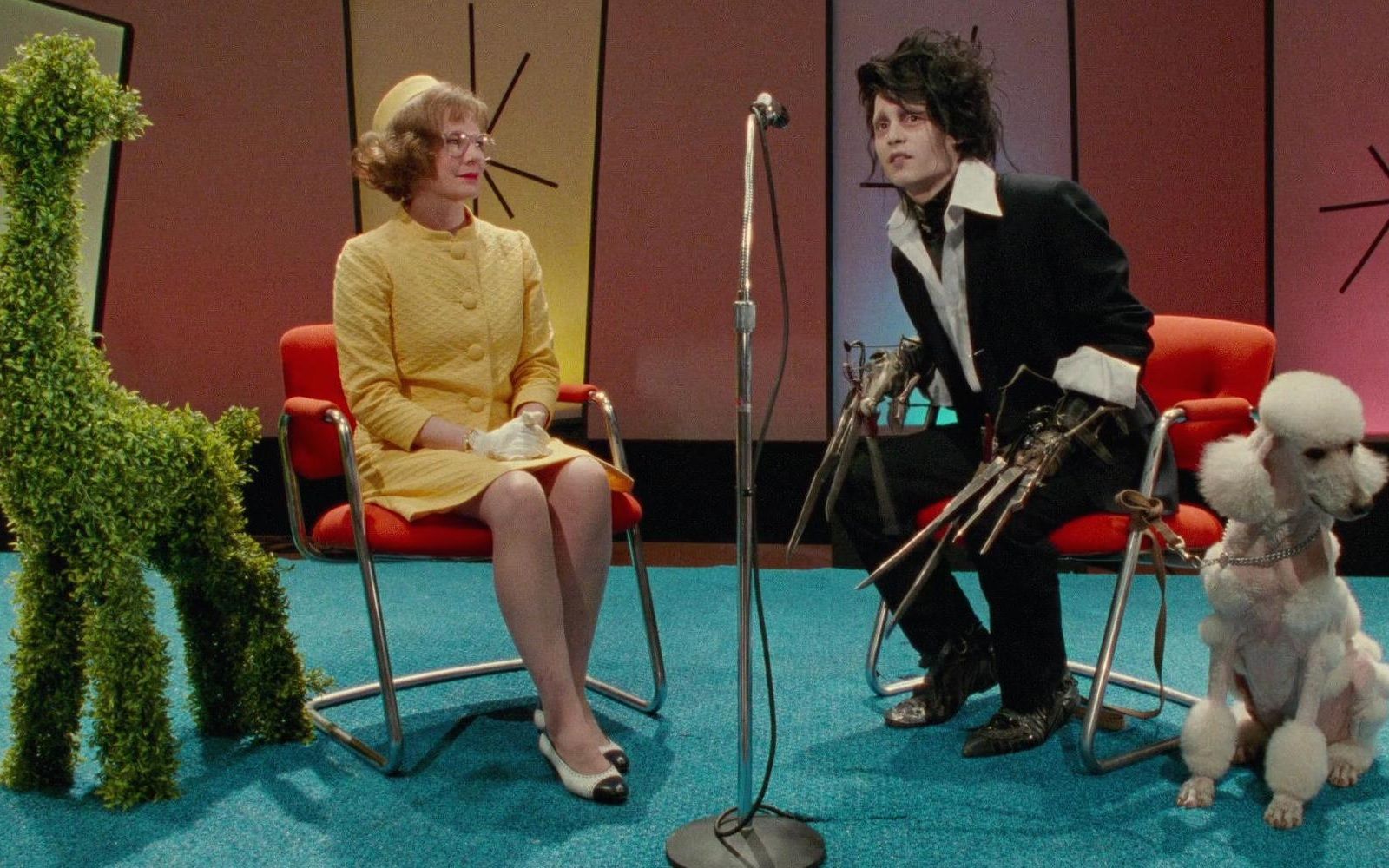 Timothée Chalamet like Edward Scissorhands