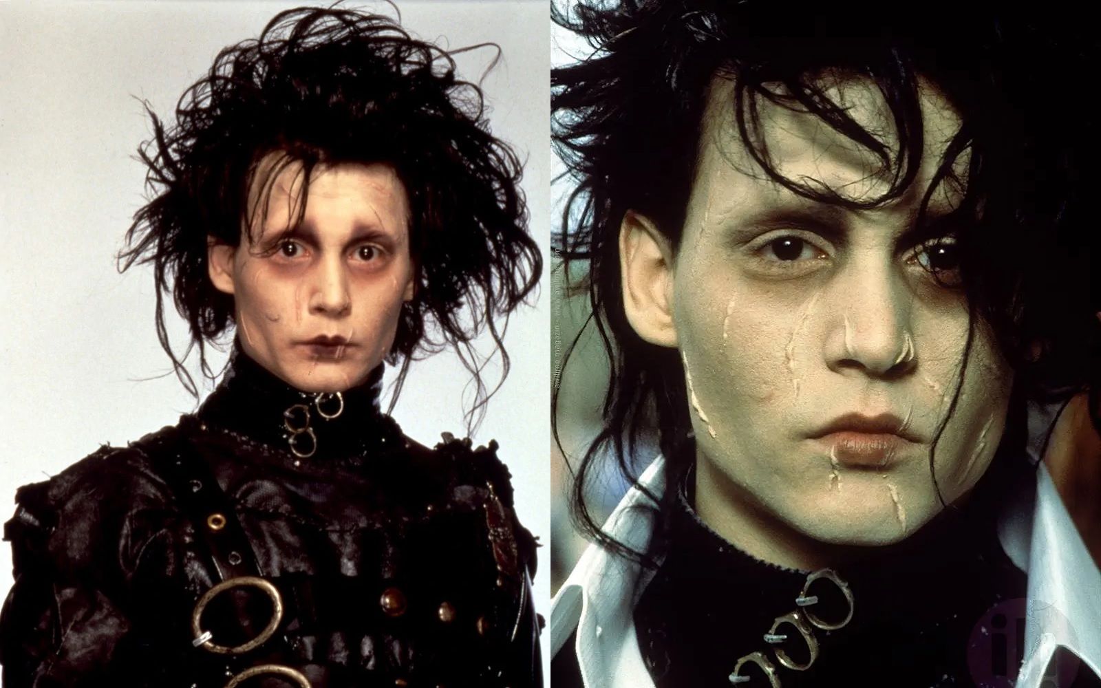 Timothée Chalamet like Edward Scissorhands