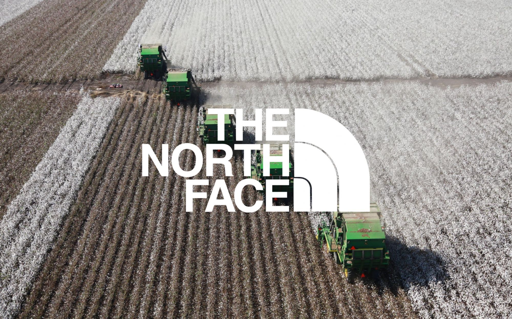 North face sales cultivation