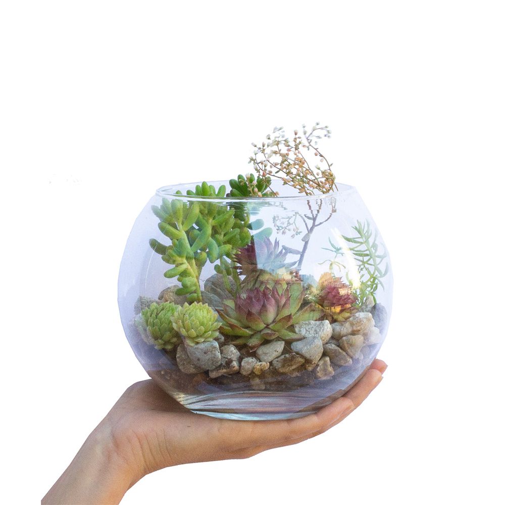 TERRARIUM