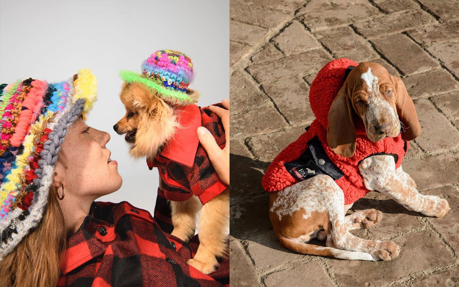 10 brands of dog clothing for fall/winter
