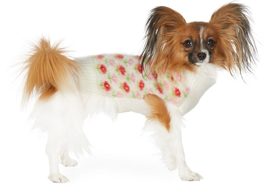 ASHLEY WILLIAMS White Mohair Flower Sweater