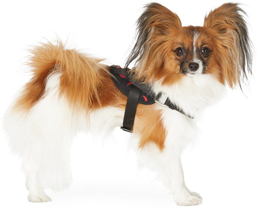 MARINE SERRE SSENSE Exclusive Black Small Harness