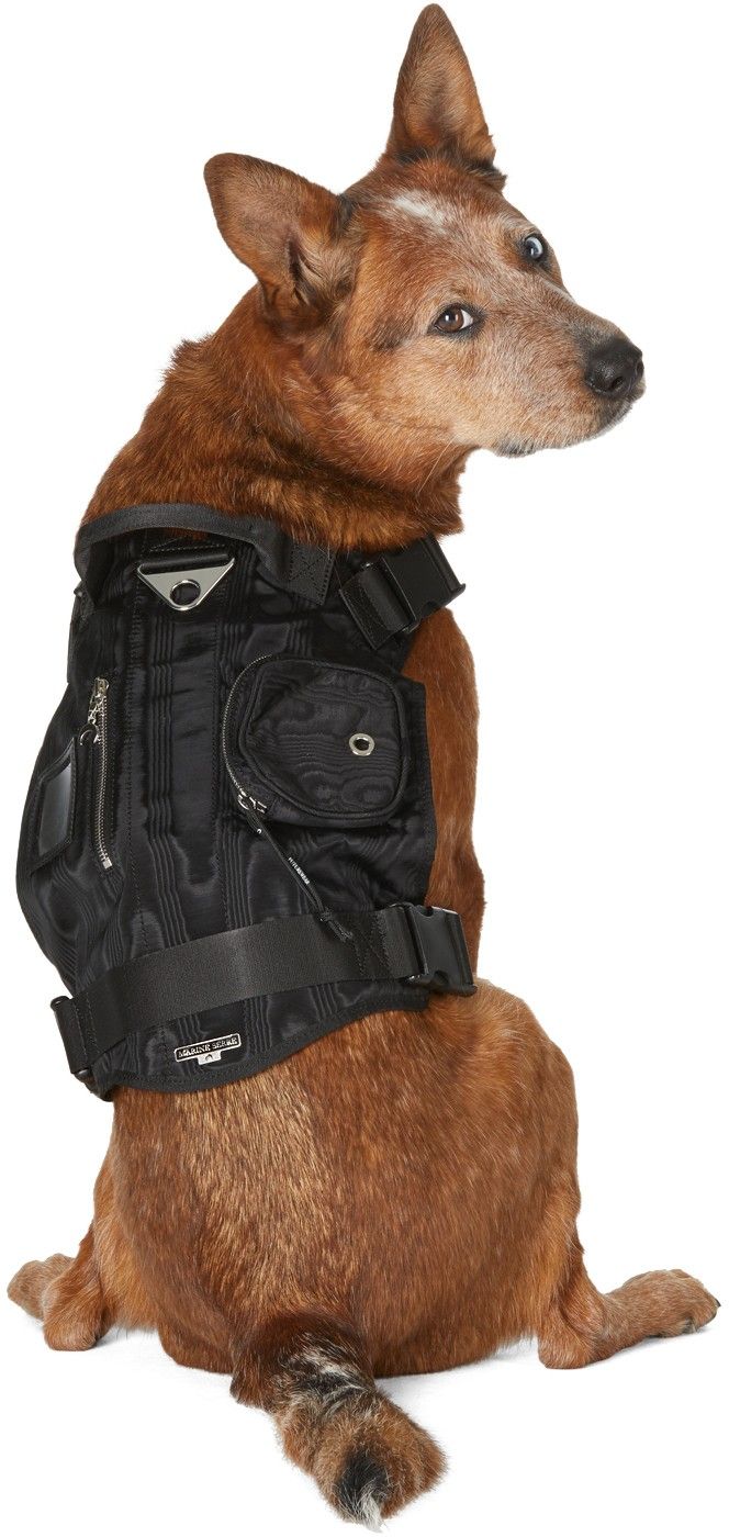 MARINE SERRE SSENSE Exclusive Black Multiple Pockets Harness