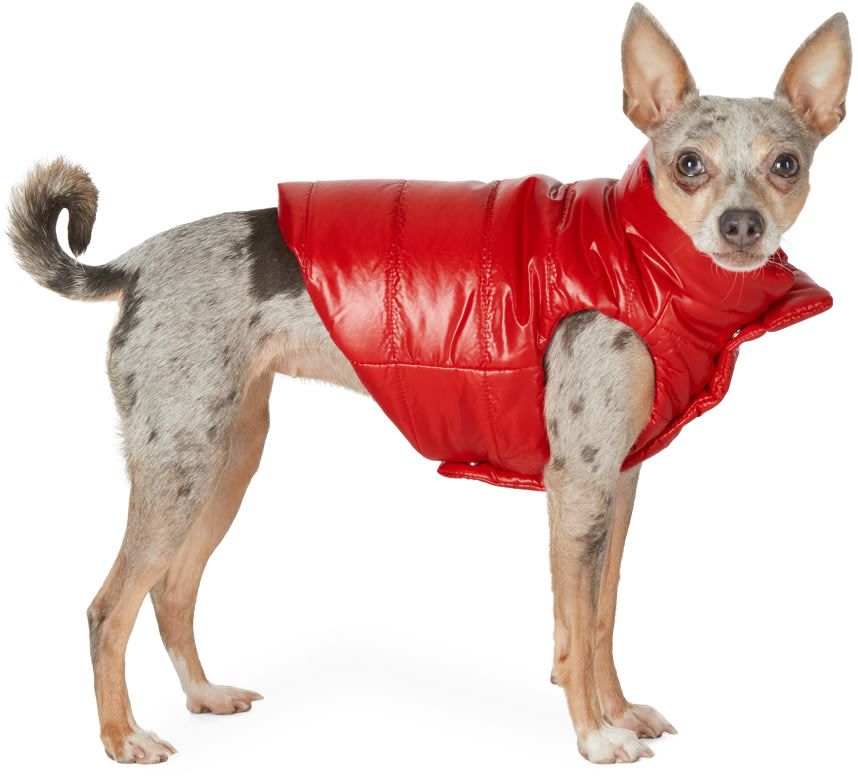 MONCLER GENIUS Red Poldo Dog Couture Edition Mondog Jacket