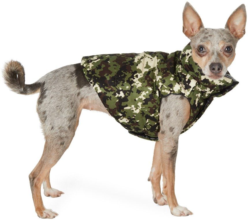MONCLER GENIUS Green Camo Poldo Dog Couture Edition Mondog Jacket