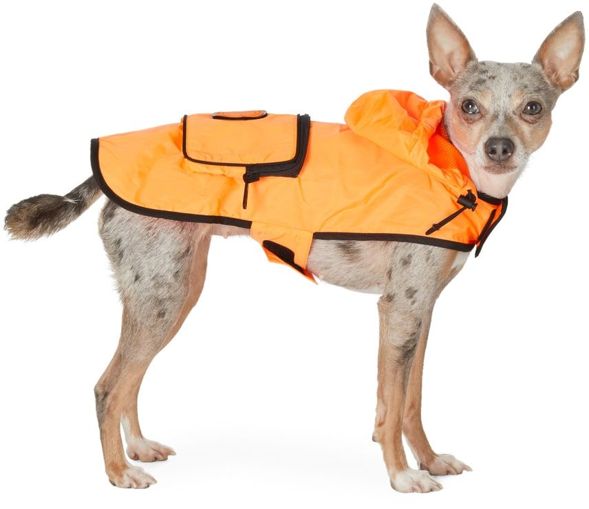 MONCLER GENIUS Orange Poldo Dog Couture Edition Mondog Cloak Jacket