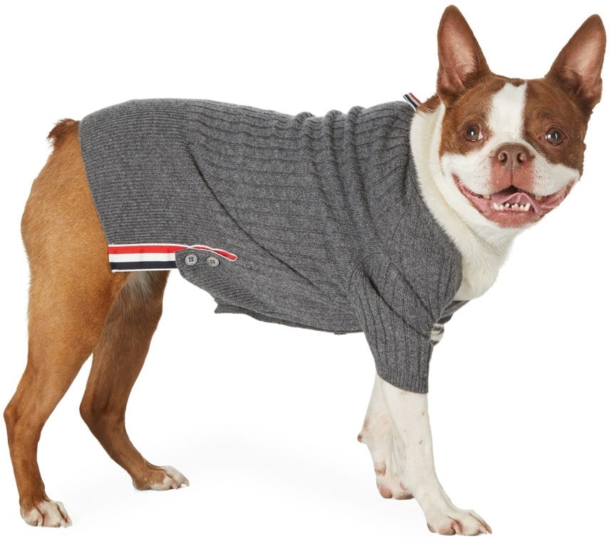 THOM BROWNE Grey Cashmere Rib Knit 4-Bar Dog Cardigan