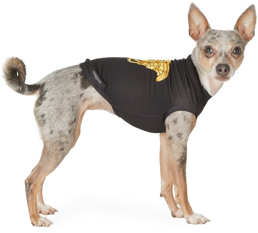 Versace Black Meduza T-shirt