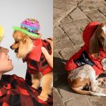 Fashion Brands You Didn't Know Made Dog Clothes