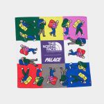 The new Palace x THE NORTH FACE PURPLE LABEL capsule collection