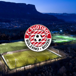 How to communicate in football: the case of the Fussball Club Südtirol Interview with Manuel Insam, social media manager of the Trentino Serie C team