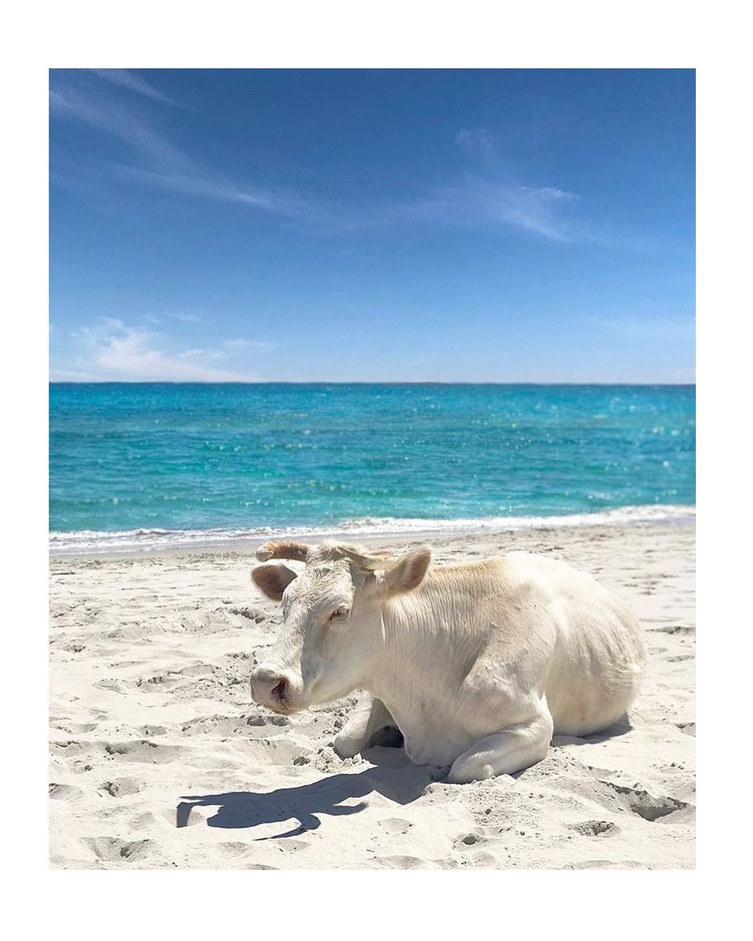 5 film, città e outfits per tuffarsi nell’estate italiana L'infinita ispirazione dell'estate italiana fra cinema, moda ed estetica mediterranea | Image 351260