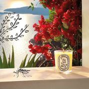 Diptyque - Citronelle