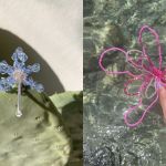 5 lovely jewelry brands to discover To wear this summer to catch the attention with colorful and sparkling details