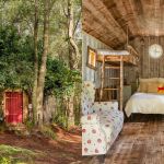 Now you can book Winnie The Pooh's house on Airbnb The sweetest escape from reality, by Disney and Airbnb